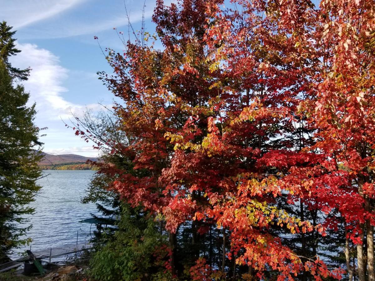 La Parade Du Huard - Lac Et Spa Saint Sebastien Dış mekan fotoğraf
